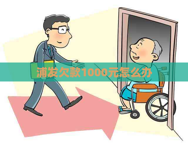 浦发欠款1000元怎么办