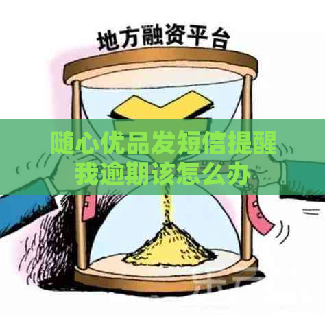 随心优品发短信提醒我逾期该怎么办