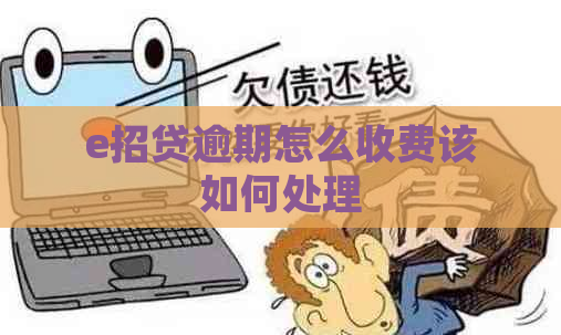 e招贷逾期怎么收费该如何处理