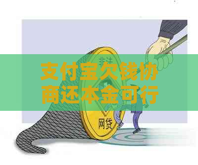 支付宝欠钱协商还本金可行吗