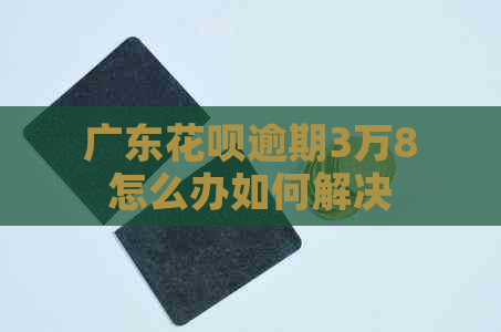 广东花呗逾期3万8怎么办如何解决