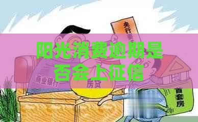 阳光消费逾期是否会上