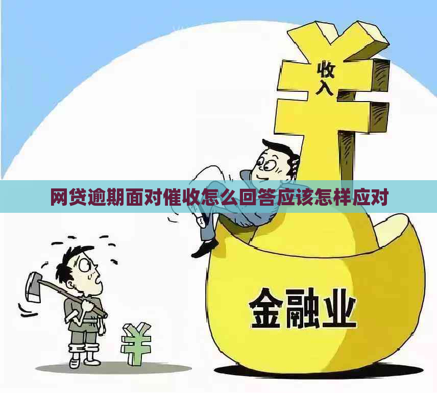 网贷逾期面对怎么回答应该怎样应对