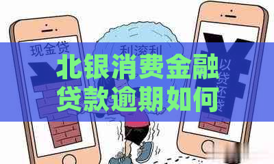 北银消费金融贷款逾期如何还款