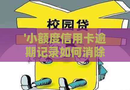 '小额度信用卡逾期记录如何消除：有效解决方案'