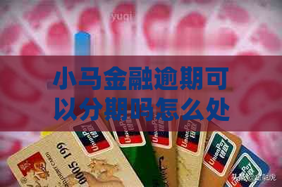 小马金融逾期可以分期吗怎么处理