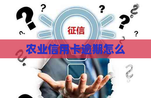 农业信用卡逾期怎么