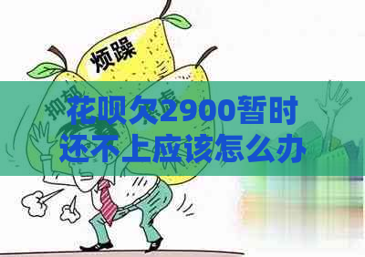 花呗欠2900暂时还不上应该怎么办