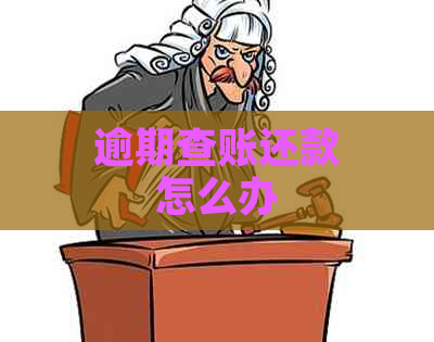 逾期查账还款怎么办