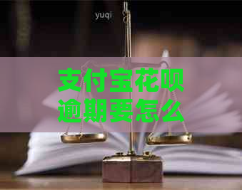 支付宝花呗逾期要怎么办