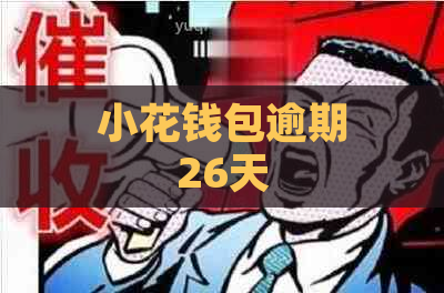 小花钱包逾期26天