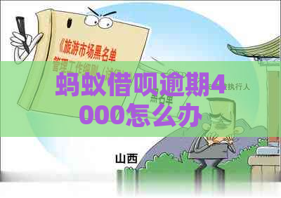 蚂蚁借呗逾期4000怎么办