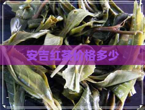 安吉红茶价格多少