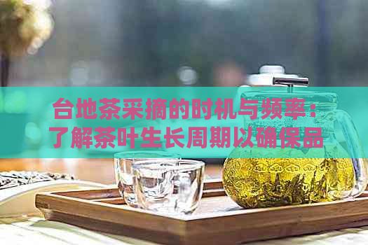 台地茶采摘的时机与频率：了解茶叶生长周期以确保品质