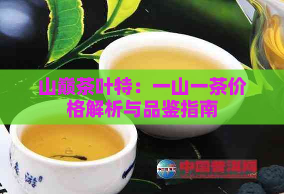 山巅茶叶特：一山一茶价格解析与品鉴指南