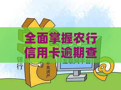 全面掌握农行信用卡逾期查询方法，解决您的后顾之忧