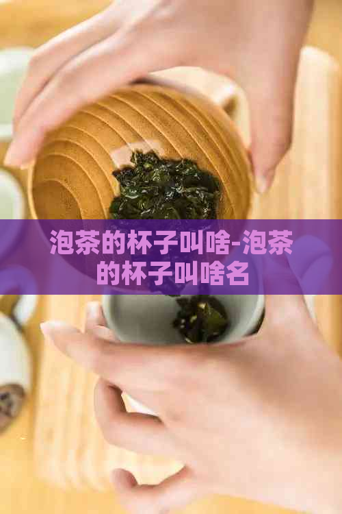 泡茶的杯子叫啥-泡茶的杯子叫啥名