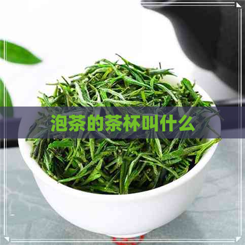 泡茶的茶杯叫什么