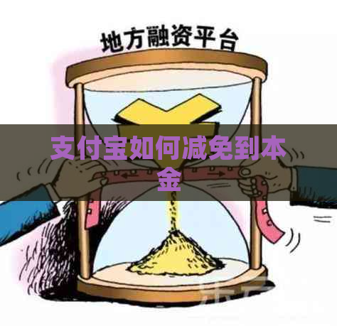 支付宝如何减免到本金