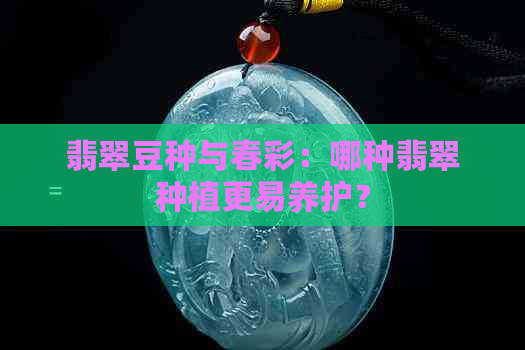 翡翠豆种与春彩：哪种翡翠种植更易养护？