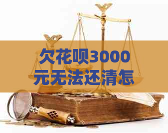 欠花呗3000元无法还清怎么办