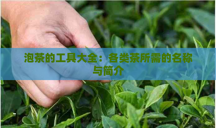 泡茶的工具大全：各类茶所需的名称与简介