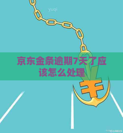 京东金条逾期7天了应该怎么处理