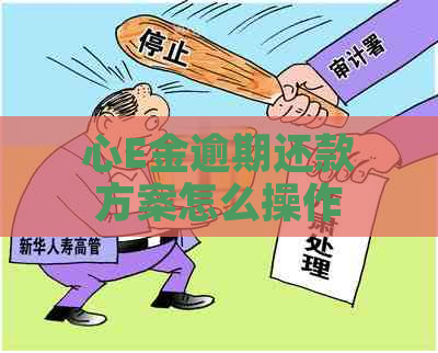 心E金逾期还款方案怎么操作