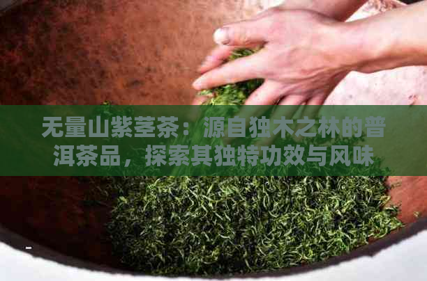 无量山紫茎茶：源自独木之林的普洱茶品，探索其独特功效与风味