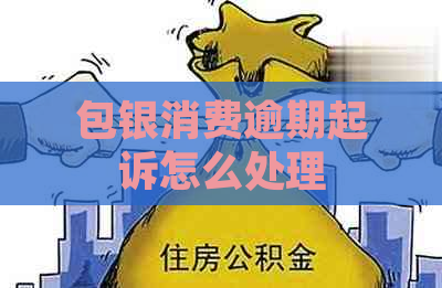 包银消费逾期起诉怎么处理