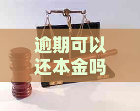 逾期可以还本金吗解决方法