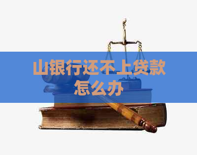 山银行还不上贷款怎么办