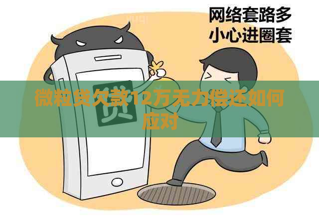 微粒贷欠款12万无力偿还如何应对