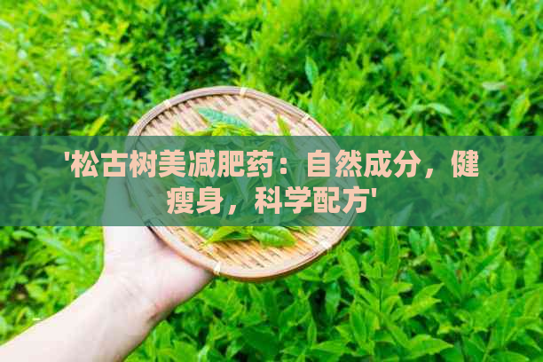 '松古树美减肥药：自然成分，健瘦身，科学配方'