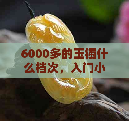 6000多的玉镯什么档次，入门小高货：适合购买吗？能买到什么？