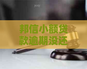 邦信小额贷款逾期没还怎么办