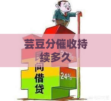 芸豆分持续多久