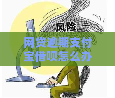 网贷逾期支付宝借呗怎么办