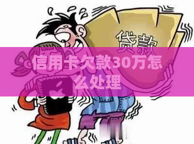 信用卡欠款30万怎么处理