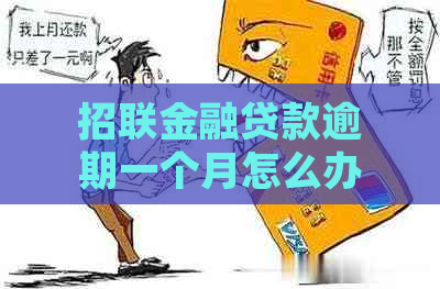 招联金融贷款逾期一个月怎么办该怎么处理