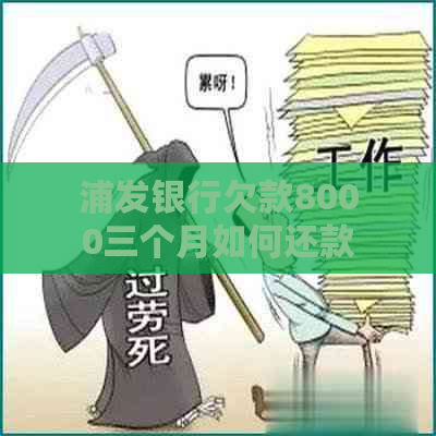 浦发银行欠款8000三个月如何还款