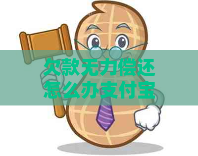 欠款无力偿还怎么办支付宝能帮助吗