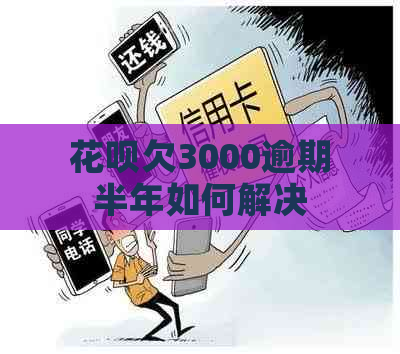 花呗欠3000逾期半年如何解决