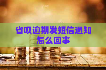 省呗逾期发短信通知怎么回事