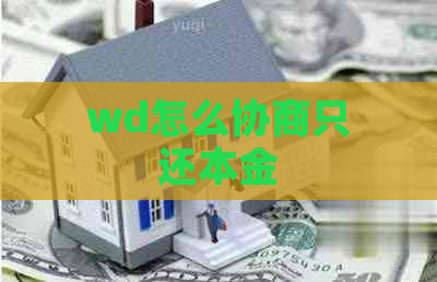 wd怎么协商只还本金