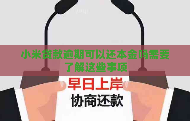 小米贷款逾期可以还本金吗需要了解这些事项