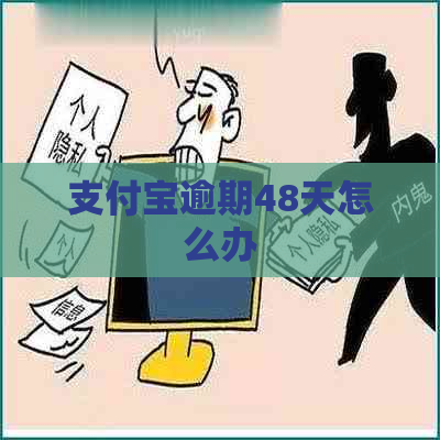 支付宝逾期48天怎么办