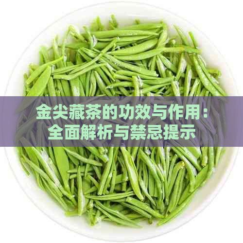 金尖藏茶的功效与作用：全面解析与禁忌提示