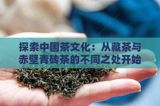 探索中国茶文化：从藏茶与赤壁青砖茶的不同之处开始