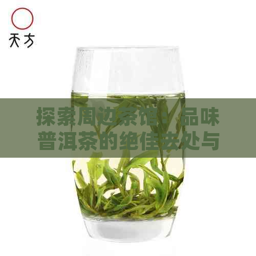 探索周边茶馆：品味普洱茶的绝佳去处与大众点评精选